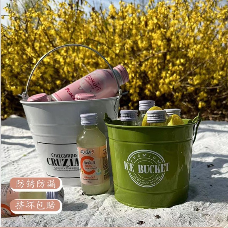飲料とビールのための鉄の氷のバケツ、屋外の家のための創造的な - Ice Bucket Silver のレビューと価格